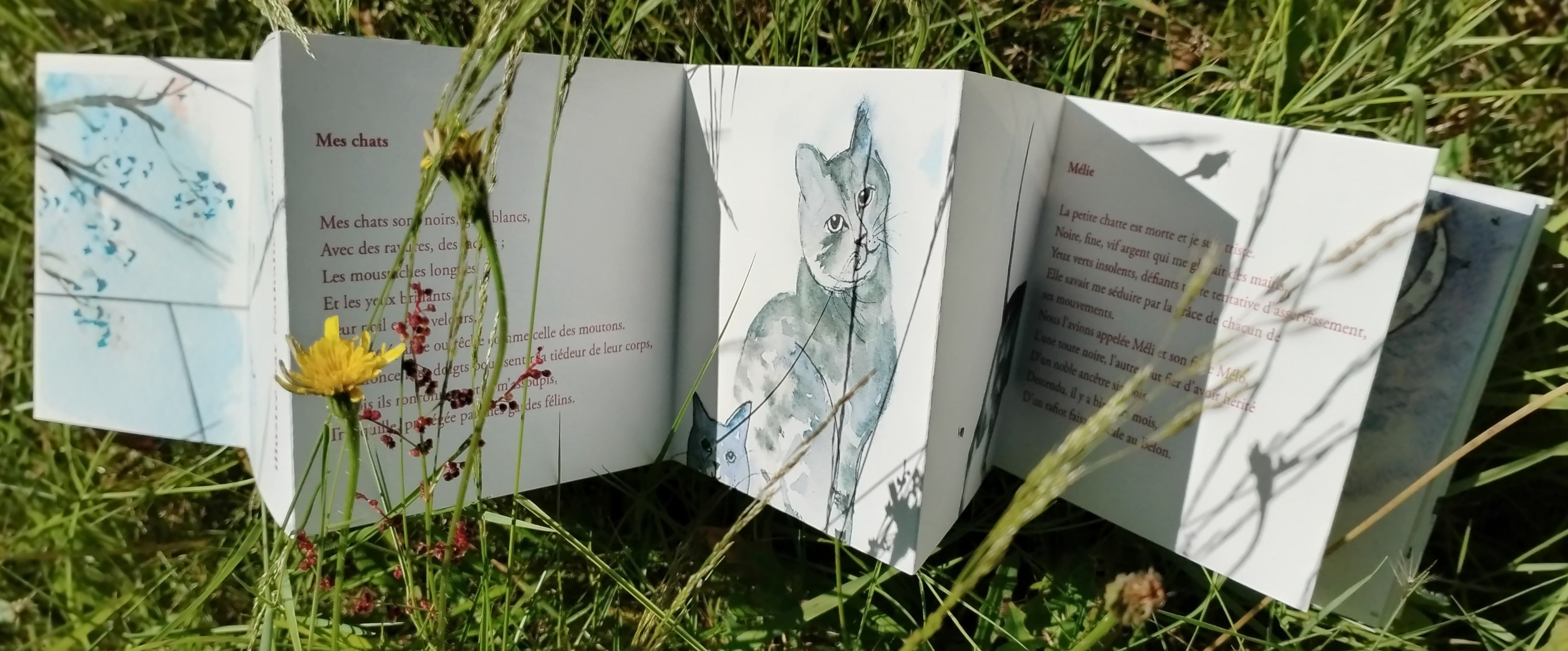 A Printempsdespoetes 02