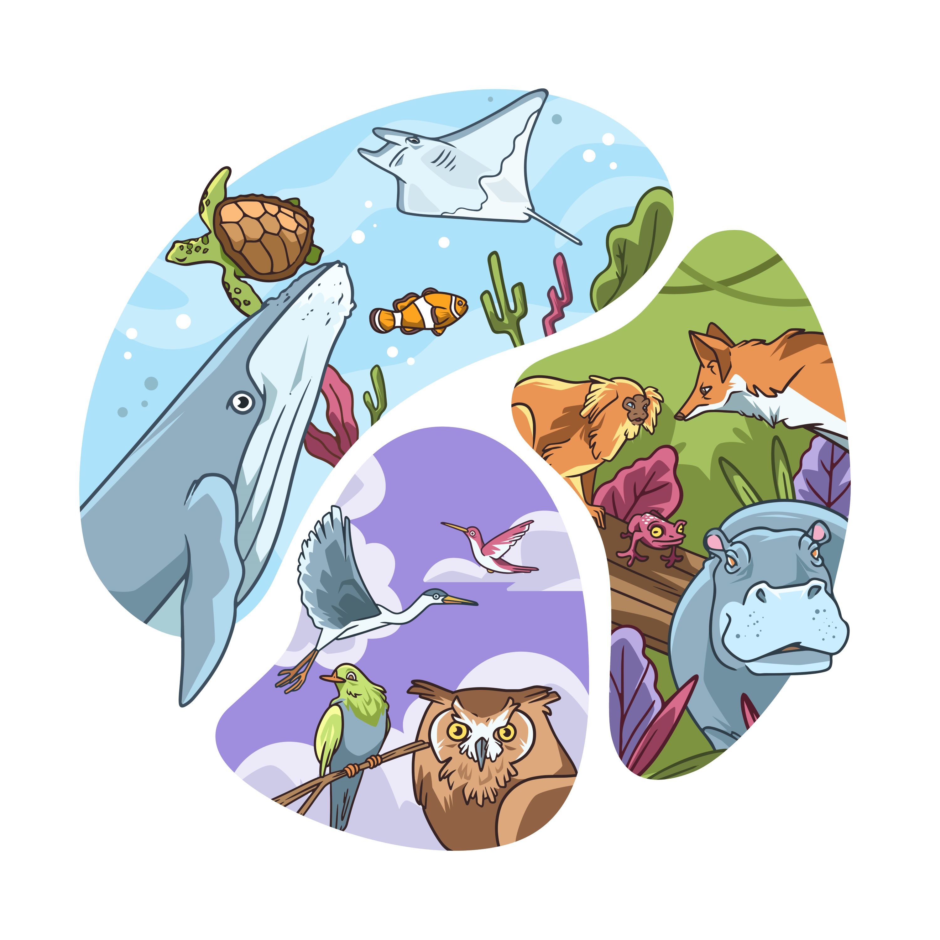 E Atelier mon ecosysteme et moi