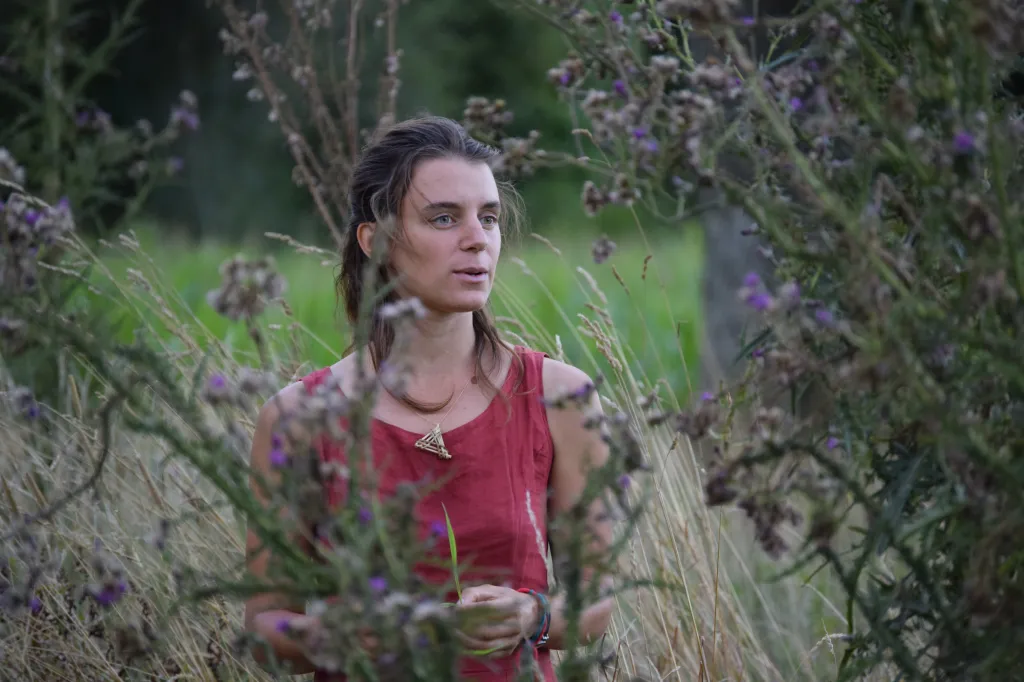 Conte de l'églantine